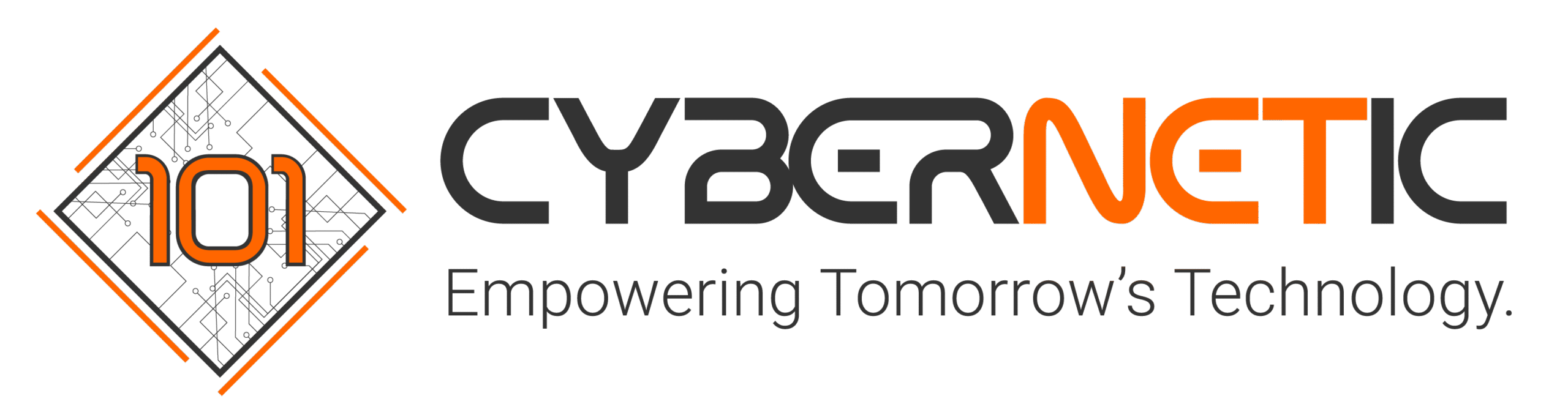 101 Cybernetic